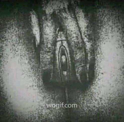 每日趣圖：公共場合不能看（手拿鼠標(biāo)）