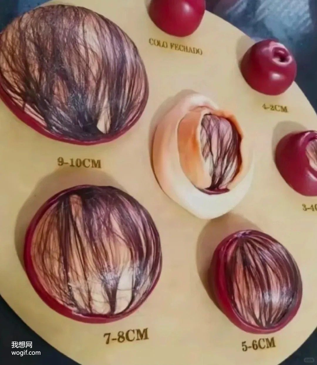 順產(chǎn)的下面是什么感覺？（純字版）