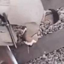 國(guó)外三哥被火車壓斷了脖子，能否收到"疼痛信號(hào)"？